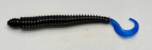Black Blue Tail - Ring Worm