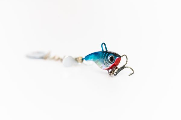 Blue Shiner - Rip N Spin (Rock Knocker Series) - Image 4